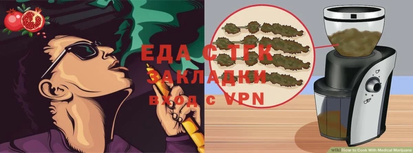 амф Гусев