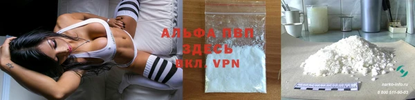 амф Гусев