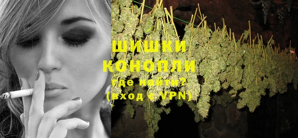 амф Гусев