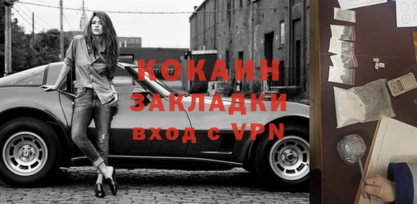 амф Гусев
