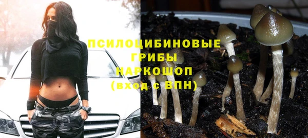марихуана Гусиноозёрск