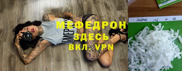 амф Гусев