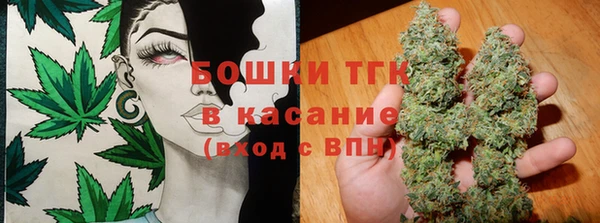 амф Гусев